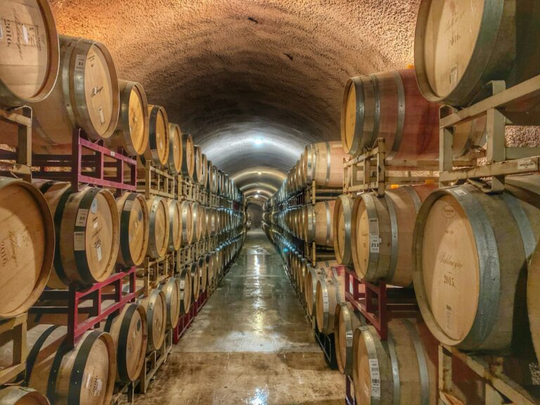 5 Operational Challenges Every Growing Wine Business Must Overcome